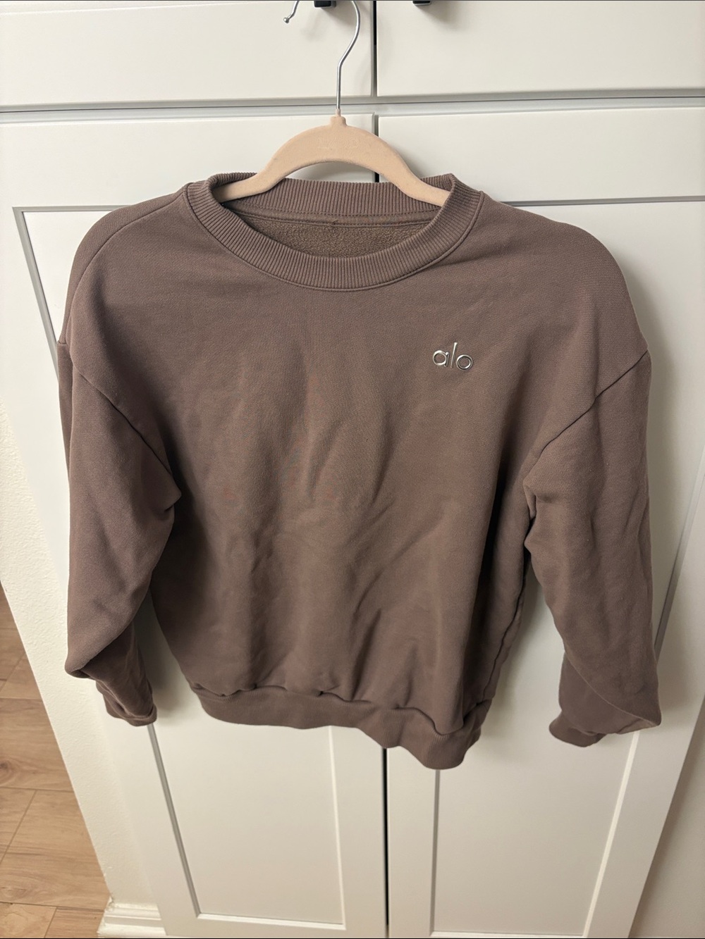 ALO Yoga Women’s Crewneck Sweatshirt in Taupe Brown